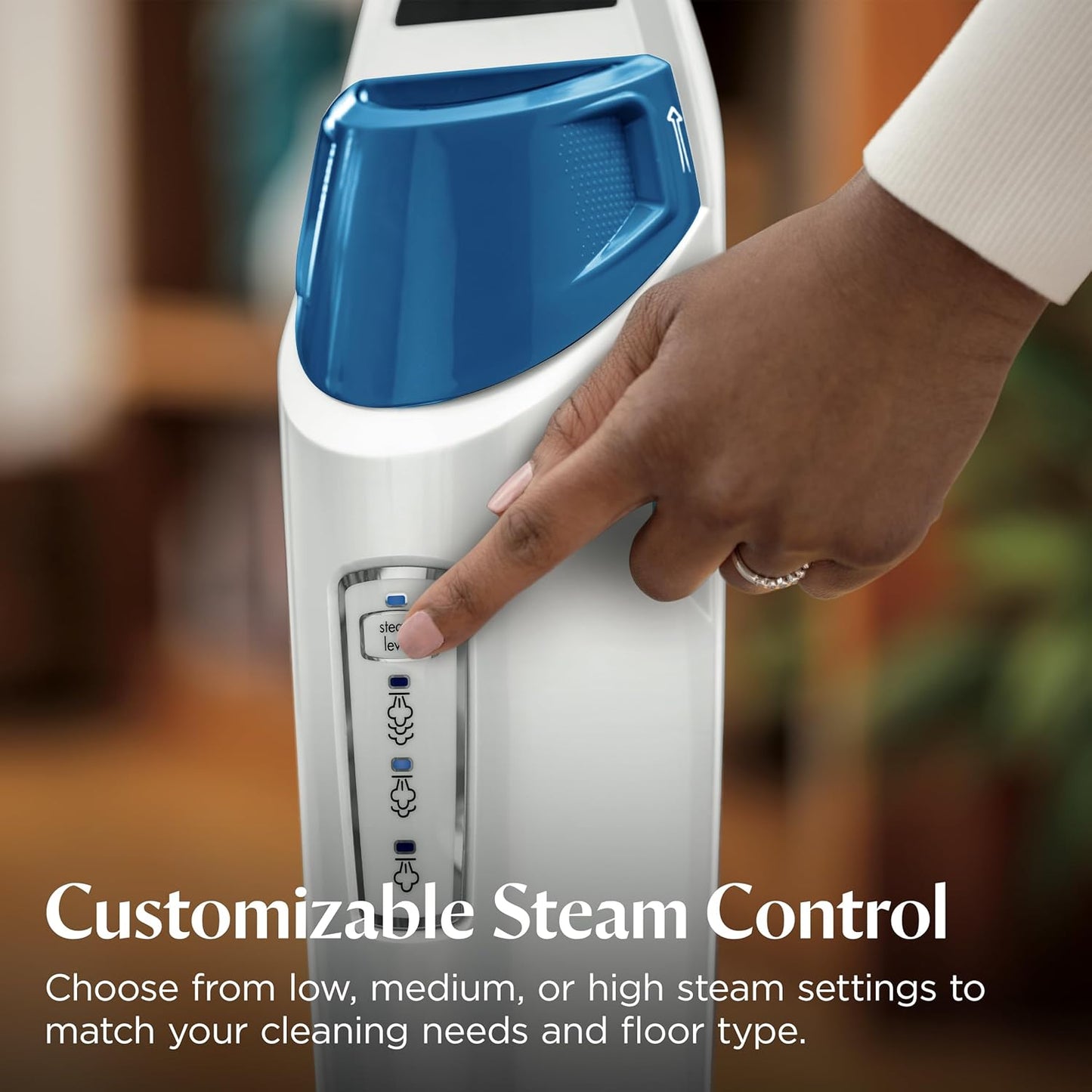 Floor Steamer